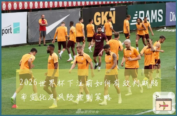 2026世界杯下注前如何有效判断赔率变化及风险控制策略