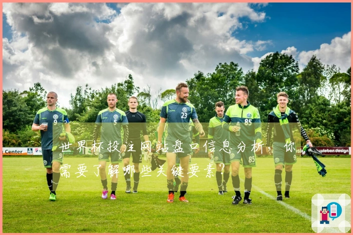 世界杯投注网站盘口信息分析，你需要了解哪些关键要素？